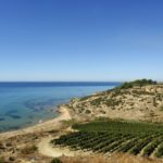 mandrarossa-vigne-del-mare-1-54fed6f8c4717