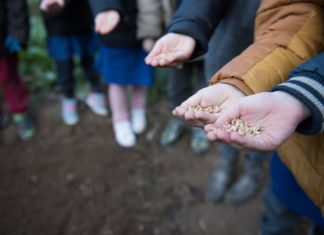 Orto in Condotta: Slow Food a scuola per cambiare il mondo