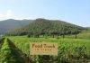 Franciacorta: Food Truck in vigna a “La Montina”