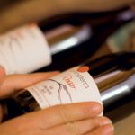 primaterra-bottiglie-orizzontali-vini-409px