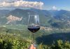 Trentino: fino al 12 settembre “A tutto Marzemino”