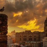 A seagull at sunset from the walls of the Alcazaba of the city of Malaga and in the background the Cathedral of the Incarnation of Malaga, Andalusia. Spain. Medieval fortress in arabic style