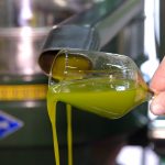 olio appena spremuto