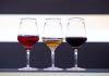 Guida alle Birre d’Italia 2023: due giorni a Roma per scoprire la nuova edizione