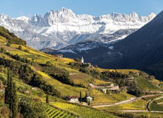 Il Consorzio Vini Alto Adige assegna il Premio Gambero Rosso “Ristorante con la migliore proposta vegetariana”