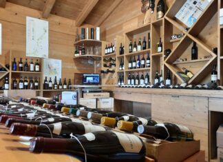 Pavia e Vinarius: degustazioni dei vini del territorio