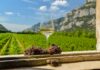 Pinot grigio DOC Delle Venezie: successo del tour all’estero
