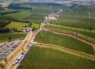 Viticoltura, UIV: export macchine agricole oltre il miliardo di euro