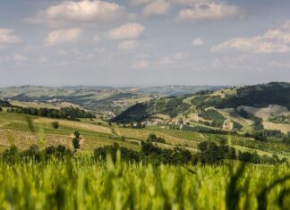 Oltrepò, Terra di Pinot Nero: un territorio, un vitigno, due eccellenze