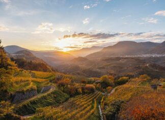 Dolo-Vini-Miti: convegno inaugurale sui “paesaggi del vino”