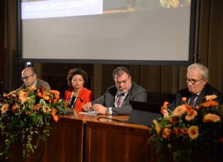 Pinot Grigio DOC Delle Venezie tra mercato e nuove sfide