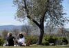 Umbria: “Cantine Aperte a San Martino”