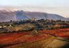 Le “Radici” dell’Umbria al Vinitaly 2025