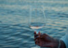 Prosecco Doc Rosé Millesimato Brut di PONTE1948