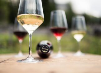 Alto Adige, brindisi autunnali con Schiava, Pinot Nero e Gewürztraminer