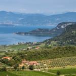 calice BARDOLINO