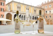 Pinot Grigio DOC Delle Venezie in Canada tra vino e cicloturismo