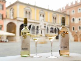 Pinot Grigio DOC Delle Venezie in Canada tra vino e cicloturismo
