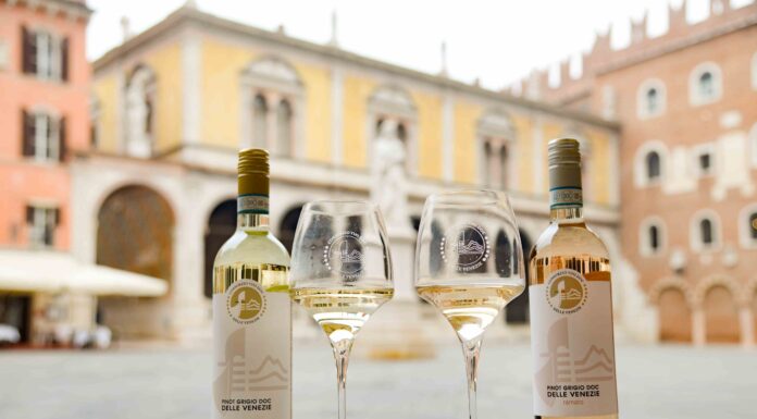 Pinot Grigio DOC Delle Venezie in Canada tra vino e cicloturismo