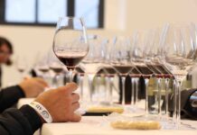 Treviso: arriva “Rosso Autoctono”, prestigioso evento di AIS Veneto