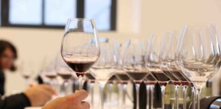 Treviso: arriva “Rosso Autoctono”, prestigioso evento di AIS Veneto