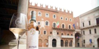 DOC Delle Venezie: nasce il Premio di Laurea “Giuseppe Catarin”